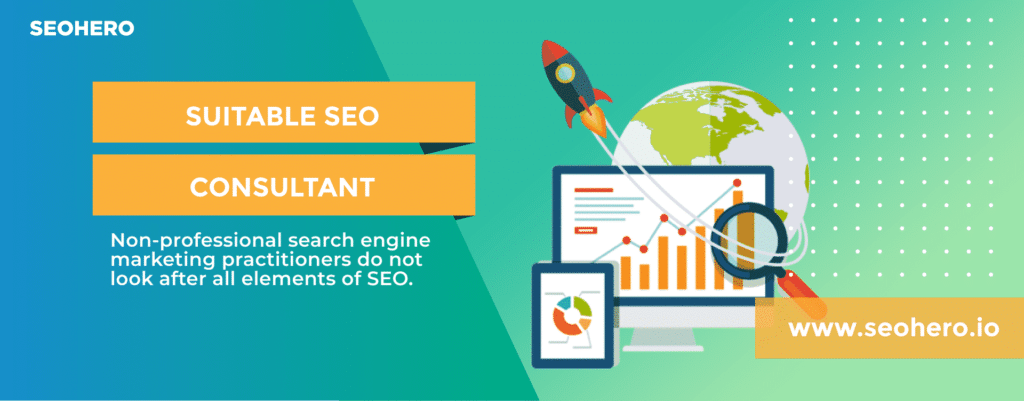 what is a suitable seo consultant