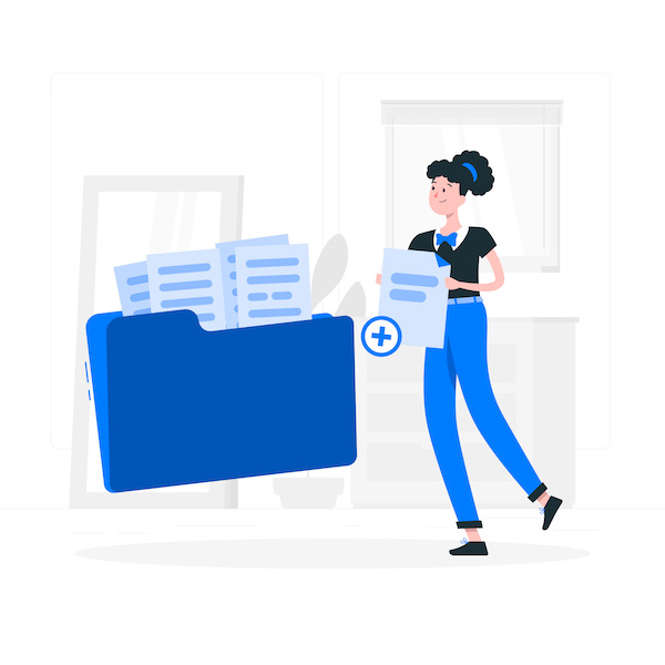 SEO Insights